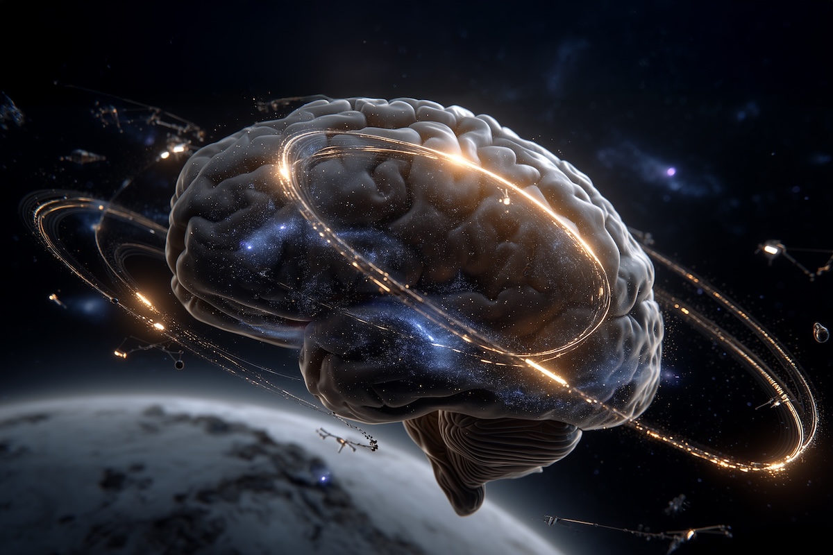 New Neurobiology Textbook